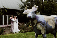 VILLAGE BARN WEDDING. KIRSTY + IAN.