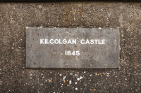 Kilcolgan Castle Wedding